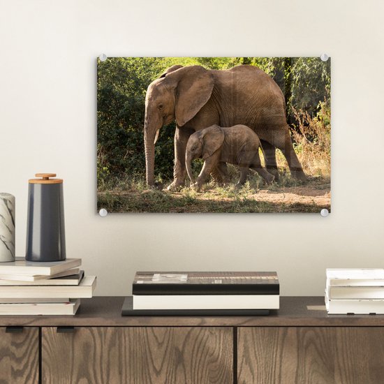 Peinture sur verre - Bébé éléphant marchant avec sa mère - 30x20 cm - Peintures sur Verre Peintures - Photo sur Glas