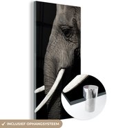 MuchoWow® Peinture sur Verre - Éléphant - Animal - Défense - 60x120 cm - Peintures sur Verre Acrylique - Photo sur Glas