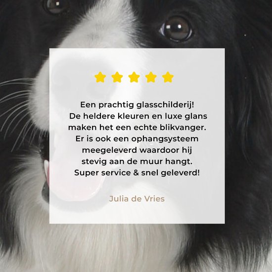 MuchoWow® Tableau sur Verre - Photo Portrait d'un Bon Border Collie Assis - 80x40 cm - Peintures sur Verre Acrylique - Photo sur Glas