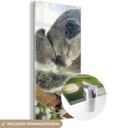 MuchoWow® Glasschilderij 20x40 cm - Schilderij acrylglas - Koala's - Knuffel - Dieren - Kinderen - Jongens - Meisjes - Foto op glas - Schilderijen