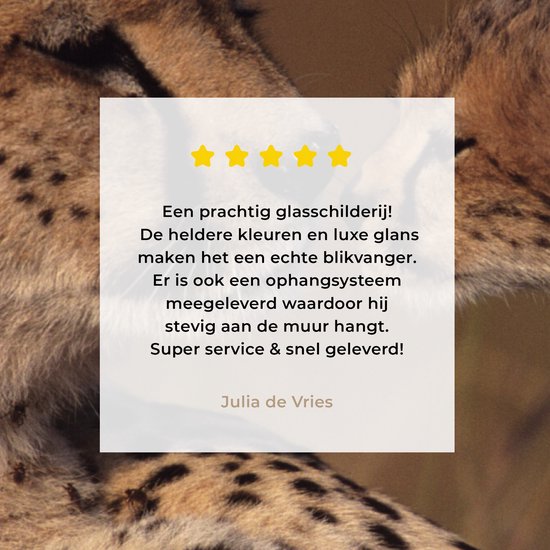 ® Glasschilderij 20x20 cm - Schilderij acrylglas - Cheeta moeder en welp - Foto op glas - Muurdecoratie woonkamer - Wanddecoratie slaapkamer - Schilderijen
