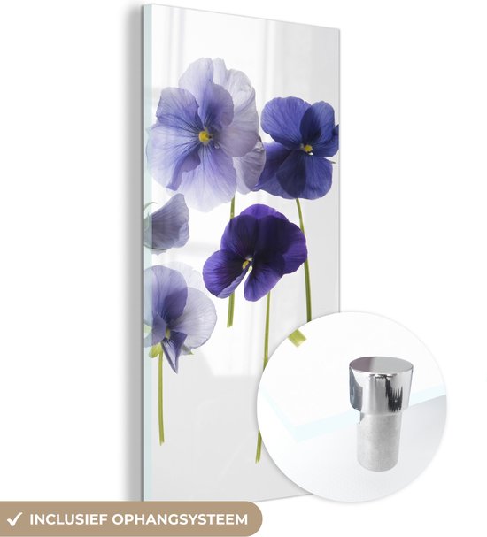 MuchoWow® Glasschilderij 40x80 cm - Schilderij acrylglas - Paarse violen op een lichtbak - Foto op glas - Schilderijen
