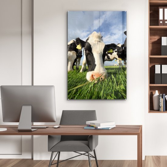 Gros plan d'une vache frisonne broutant Plexiglas 60x90 cm - Tirage photo sur Glas (décoration murale en plexiglas)