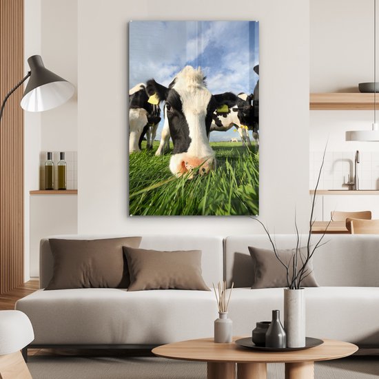 Gros plan d'une vache frisonne broutant Plexiglas 60x90 cm - Tirage photo sur Glas (décoration murale en plexiglas)