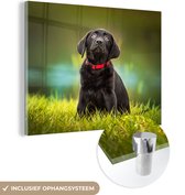 MuchoWow® Glasschilderij 80x60 cm - Schilderij acrylglas - Een zwarte Labrador Retriever die omhoog kijkt - Foto op glas - Schilderijen