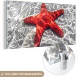 MuchoWow® Peinture sur verre 80x40 cm - Peinture sur verre acrylique - Étoile de mer - Rouge - Water - Photo sur verre - Peintures