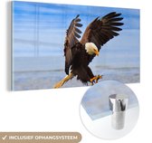 MuchoWow® Glasschilderij 80x40 cm - Schilderij acrylglas - Vogel - Zeearend - Strand - Foto op glas - Schilderijen