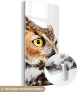 MuchoWow® Glasschilderij 40x80 cm - Schilderij acrylglas - Bruine uil met een witte achtergrond - Foto op glas - Schilderijen