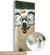 MuchoWow® Glasschilderij 40x80 cm - Schilderij acrylglas - Dier - Hond - Bril - Foto op glas - Schilderijen