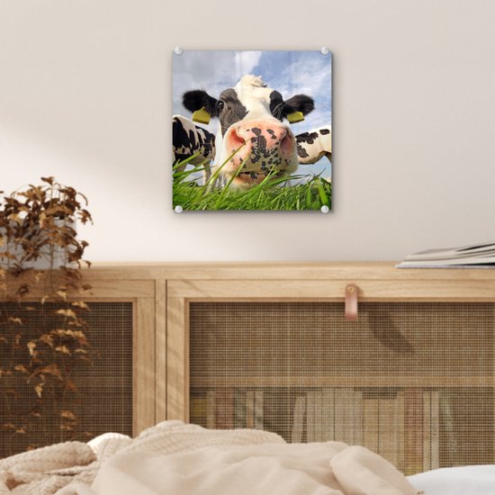 Peinture sur Verre - Vaches - Herbe - Nuages - 20x20 cm - Peintures sur Verre Peintures - Photo sur Glas