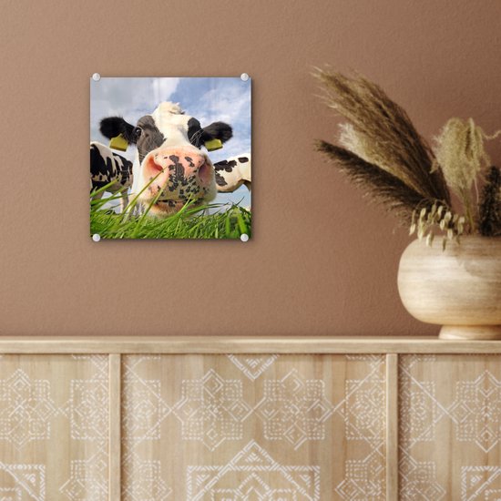 Peinture sur Verre - Vaches - Herbe - Nuages - 20x20 cm - Peintures sur Verre Peintures - Photo sur Glas