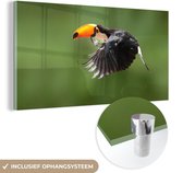 MuchoWow® Peinture sur Verre - Un Toucan Volant sur un Fond Vert - 160x80 cm - Peintures sur Verre Acrylique - Photo sur Glas