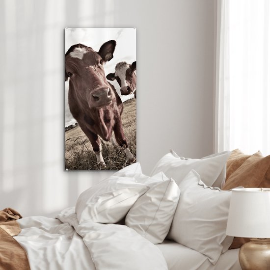 MuchoWow® Peinture sur verre 40x80 cm - Peinture sur verre acrylique - Tirage photo vaches sur un champ sépia - Photo sur verre - Peintures