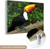 Un toucan est assis sur un tronc d'arbre Plexiglas 30x20 cm - petit - Tirage photo sur Glas (décoration murale en plexiglas)