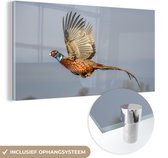 MuchoWow® Glasschilderij 120x60 cm - Schilderij acrylglas - Fazant - Veren - Vleugels - Foto op glas - Schilderijen