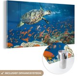 MuchoWow® Glasschilderij 160x80 cm - Schilderij acrylglas - Koraalrif met schildpad - Foto op glas - Schilderijen