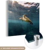 MuchoWow® Glasschilderij 90x90 cm - Schilderij acrylglas - Schildpad in helder water - Foto op glas - Schilderijen