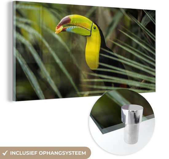Peinture sur Verre - Toucan - Feuilles - Branche - 120x60 cm - Peintures sur Verre Peintures - Photo sur Glas