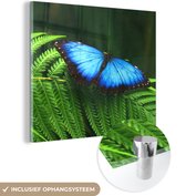 MuchoWow® Glasschilderij 20x20 cm - Schilderij acrylglas - Morpho vlinder - Foto op glas - Schilderijen
