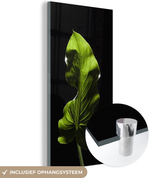 MuchoWow® Glasschilderij 40x80 cm - Schilderij acrylglas - Een groen blad op zwarte een achtergrond - Foto op glas - Schilderijen