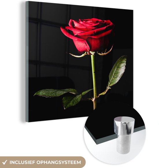 MuchoWow® Glasschilderij 20x20 cm - Schilderij acrylglas - Een rode roos op een zwarte achtergrond - Foto op glas - Schilderijen