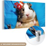 MuchoWow® Glasschilderij 160x80 cm - Schilderij acrylglas - Cavia - Grappig - Kroon - Kinderen - Jongens - Meisjes - Kindje - Foto op glas - Schilderijen