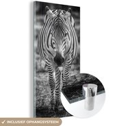 MuchoWow® Glasschilderij 40x80 cm - Schilderij acrylglas - Zebra in het gras - Foto op glas - Schilderijen