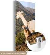 MuchoWow® Glasschilderij 40x80 cm - Schilderij acrylglas - Alpaca's - Berg - Natuur - Foto op glas - Schilderijen