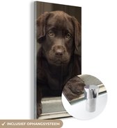 MuchoWow® Glasschilderij 80x160 cm - Schilderij acrylglas - Schattige Labrador Retriever die in de camera kijkt - Foto op glas - Schilderijen