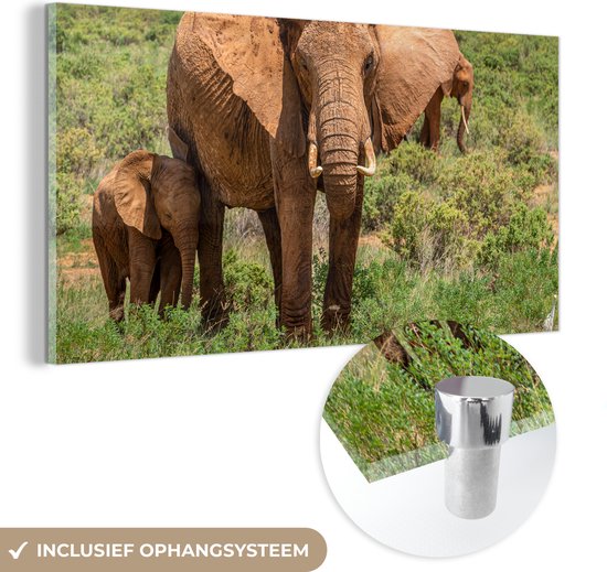 MuchoWow® Glasschilderij 80x40 cm - Schilderij acrylglas - Moeder olifant met haar baby in het gras - Foto op glas - Schilderijen