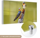 MuchoWow® Glasschilderij 120x60 cm - Schilderij acrylglas - Vogels - Tak - Portret - Foto op glas - Schilderijen