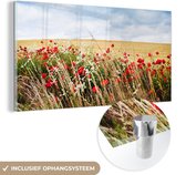 MuchoWow® Glasschilderij 120x60 cm - Schilderij acrylglas - Wolken - Bloemen - Rood - Foto op glas - Schilderijen