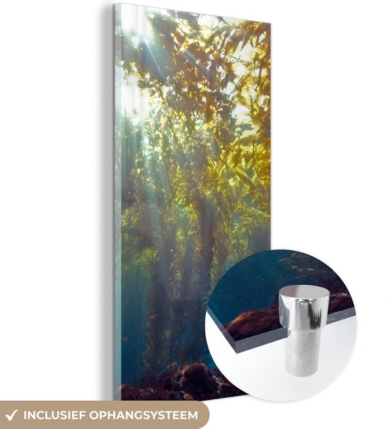 MuchoWow® Glasschilderij 20x40 cm - Schilderij acrylglas - Zonlicht en planten onder water - Foto op glas - Schilderijen