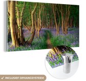 MuchoWow® Glasschilderij 160x80 cm - Schilderij acrylglas - Bos - Pad - Bloemen - Foto op glas - Schilderijen