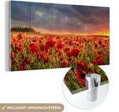 MuchoWow® Glasschilderij 40x20 cm - Schilderij acrylglas - Zonsondergang - Klaprozen - Rood - Bloemen - Veld - Natuur - Foto op glas - Schilderijen