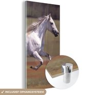 MuchoWow® Glasschilderij 40x80 cm - Schilderij acrylglas - Paard - Licht - Gras - Foto op glas - Schilderijen