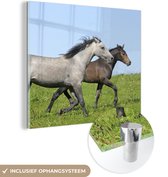 MuchoWow® Glasschilderij 20x20 cm - Schilderij acrylglas - Paarden - Dieren - Gras - Foto op glas - Schilderijen