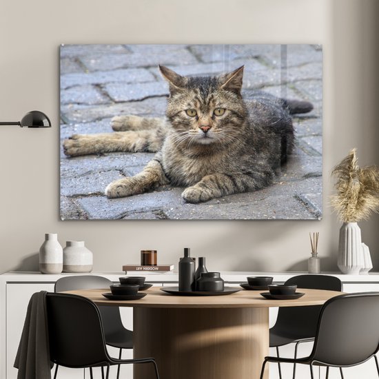 Chat couché sur le trottoir en Glas 90x60 cm - Tirage photo sur Glas (décoration murale en plexiglas)