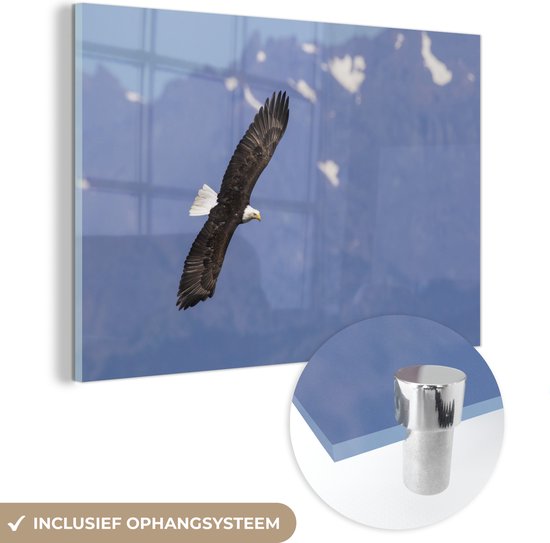 Glasschilderij - Adelaar - Berg - Vleugels - Plexiglas Schilderijen