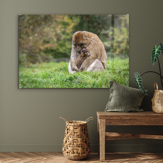 MuchoWow® Peinture sur verre 120x80 cm - Peinture sur verre acrylique - Singe - Jeune - Herbe - Photo sur verre - Peintures