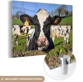 Une vache frisonne regardant par-dessus la clôture Plexiglas 120x80 cm - Tirage photo sur Glas (décoration murale en plexiglas)
