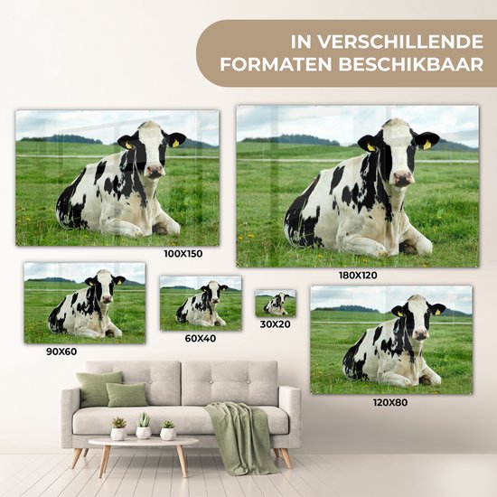 Vache frisonne au repos sur un pâturage vert Plexiglas 120x80 cm - Tirage photo sur Glas (décoration murale en plexiglas)