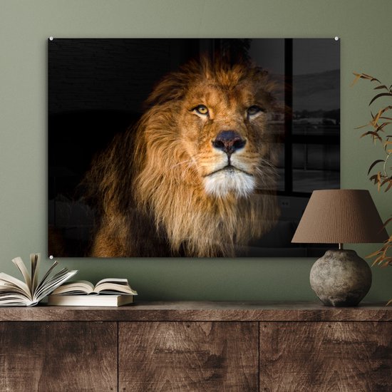 MuchoWow® Peinture sur verre - Lion - Lumière - Zwart - Portrait - 80x60 cm - Peintures sur verre acrylique - Photo sur Glas