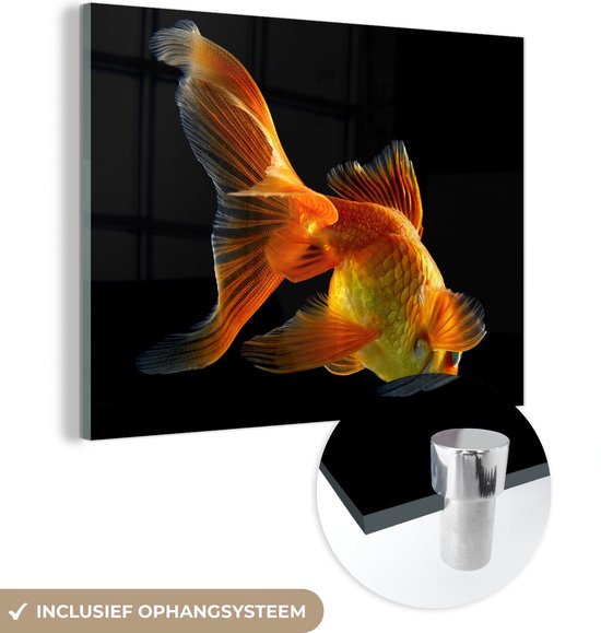 MuchoWow® Glasschilderij 40x30 cm - Schilderij acrylglas - Goudvis - Dieren - Zwart - Foto op glas - Schilderijen