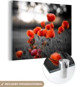 MuchoWow® Glasschilderij 40x30 cm - Schilderij acrylglas - Rode Klaprozen tegen zwarte met witte achtergrond - Foto op glas - Schilderijen
