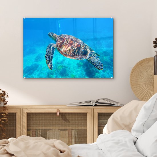 MuchoWow® Peinture sur verre 60x40 cm - Peinture sur verre acrylique - Tortue - Mer - Blauw - Photo sur verre - Peintures