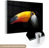 MuchoWow® Peinture sur verre 120x80 cm - Peinture sur verre acrylique - Toucan - Vogel - Bec - Photo sur verre - Peintures