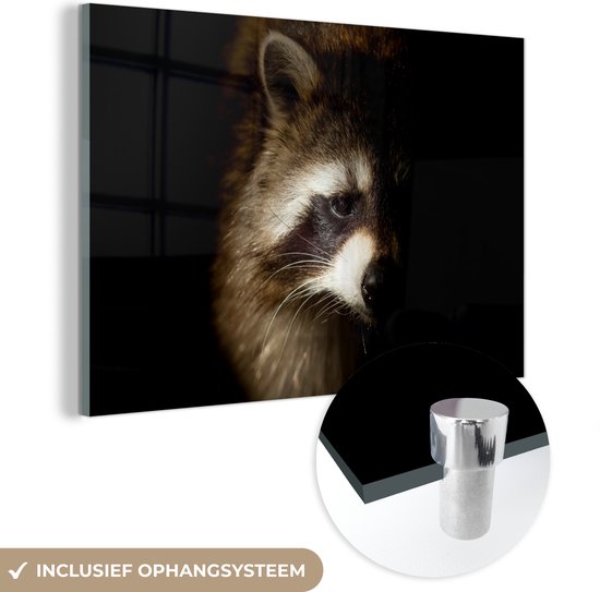 MuchoWow® Glasschilderij - Wasbeer - Wilde dieren - Zwart - Acrylglas Schilderijen - Foto op Glas