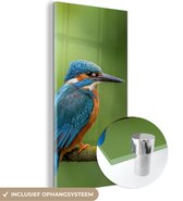 Glasschilderij - IJsvogel - Tak - Mos - Vogel - Acrylglas - Foto op glas - 20x40 cm - Glasschilderij natuur - Glasschilderij vogels - Muurdecoratie - Kamerdecoratie - Schilderij woonkamer