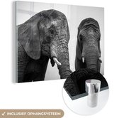 MuchoWow® Glasschilderij 60x40 cm - Schilderij acrylglas - Nieuwsgierige olifanten in zwart-wit - Foto op glas - Schilderijen